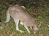 DSCN5031.JPG