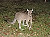 DSCN5033.JPG