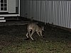 DSCN5034.JPG