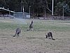 DSCN5038.JPG