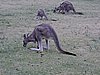 DSCN5043.JPG