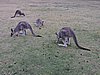 DSCN5049.JPG