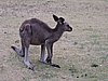 DSCN5052.JPG