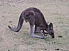 DSCN5053.JPG