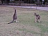 DSCN5054.JPG