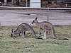 DSCN5055.JPG