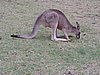 DSCN5056.JPG