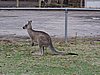 DSCN5059.JPG