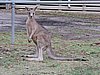DSCN5061.JPG
