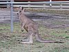 DSCN5062.JPG