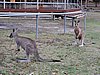 DSCN5063.JPG