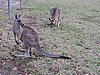 DSCN5064.JPG