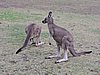 DSCN5066.JPG