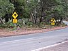 DSCN5070.JPG