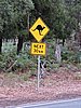 DSCN5071.JPG