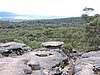 DSCN5083.JPG