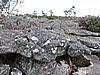 DSCN5084.JPG