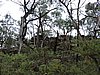 DSCN5092.JPG