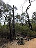 DSCN5093.JPG
