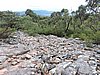 DSCN5094.JPG
