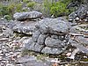 DSCN5095.JPG