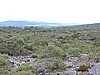 DSCN5096.JPG