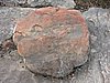 DSCN5097.JPG