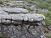 DSCN5098.JPG