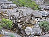 DSCN5099.JPG