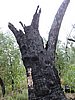 DSCN5104.JPG