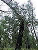 DSCN5115.JPG