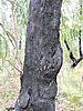 DSCN5116.JPG