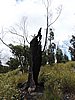 DSCN5120.JPG