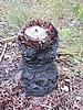 DSCN5121.JPG