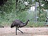 DSCN5126.JPG