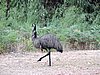 DSCN5127.JPG
