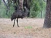 DSCN5128.JPG