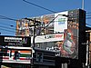 DSCN5153.JPG