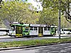 DSCN5204.JPG