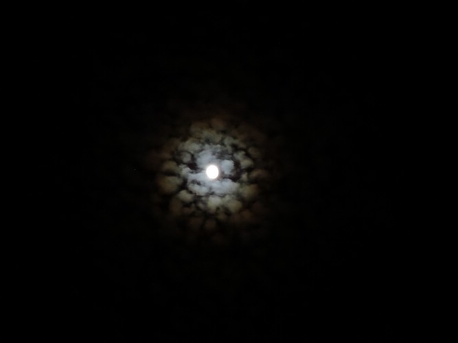 DSCN5695.JPG