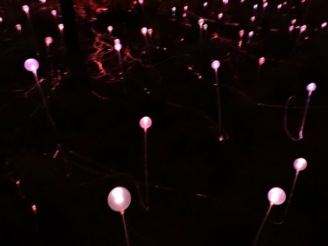 DSCN5705.JPG