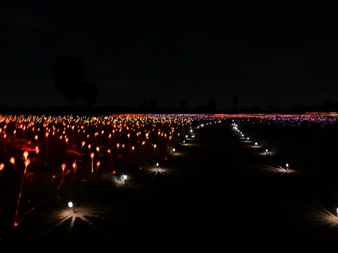 DSCN5706.JPG