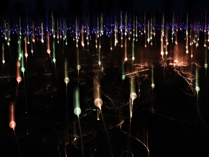 DSCN5708.JPG