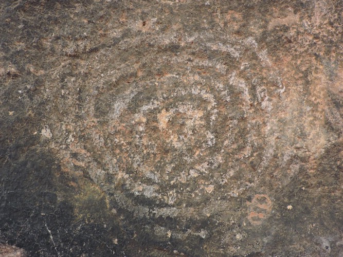 DSCN5721.JPG