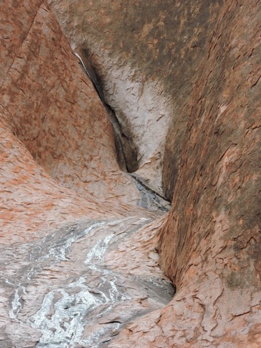 DSCN5728.JPG