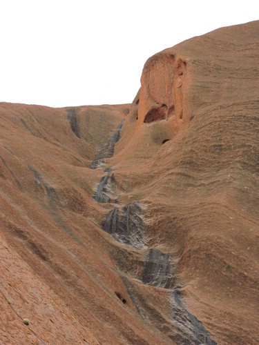 DSCN5745.JPG