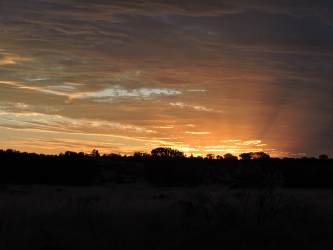 DSCN5781.JPG