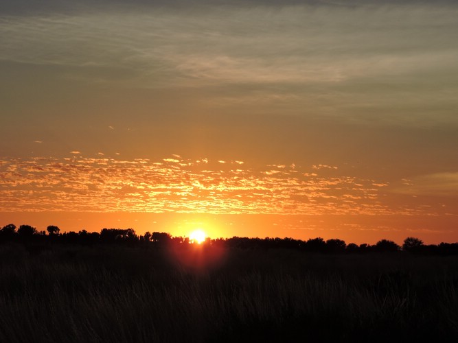 DSCN5795.JPG