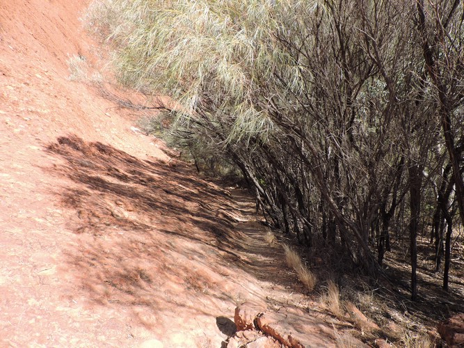 DSCN5821.JPG