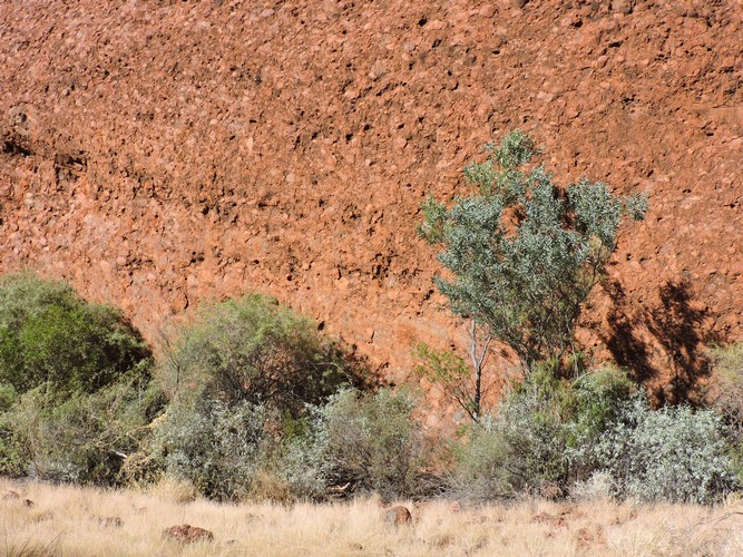 DSCN5823.JPG